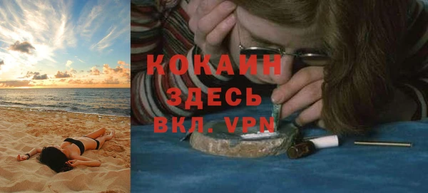 ГАЛЛЮЦИНОГЕННЫЕ ГРИБЫ Бородино