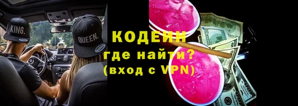 ГАЛЛЮЦИНОГЕННЫЕ ГРИБЫ Бородино