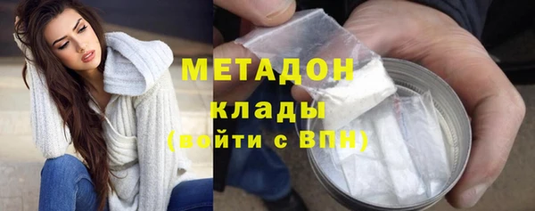 ГАЛЛЮЦИНОГЕННЫЕ ГРИБЫ Бородино