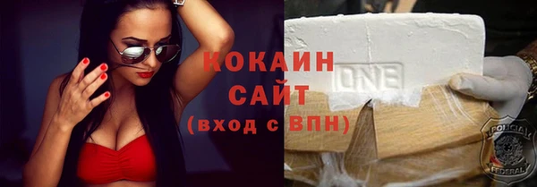 ГАЛЛЮЦИНОГЕННЫЕ ГРИБЫ Бородино