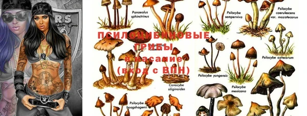 MESCALINE Бугульма
