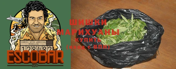 ГАЛЛЮЦИНОГЕННЫЕ ГРИБЫ Бородино