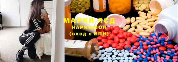 ГАЛЛЮЦИНОГЕННЫЕ ГРИБЫ Бородино
